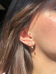 PHE0058