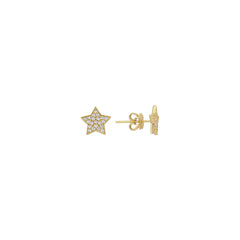 PHX0008-E - Star Earring