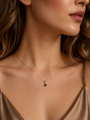 PHX0028-P
